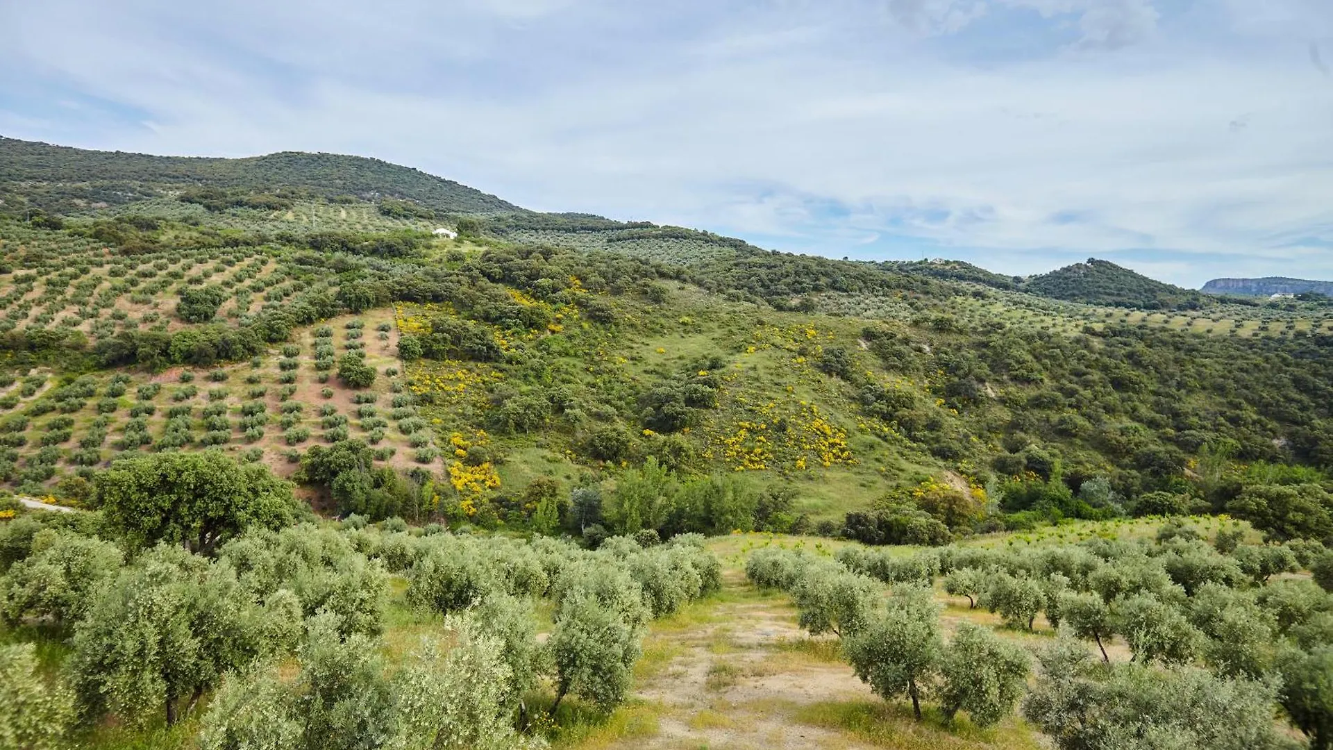 Appartamento Cortijo Rural Majolero 1 Castillo de Locubín